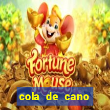 cola de cano quanto tempo para secar